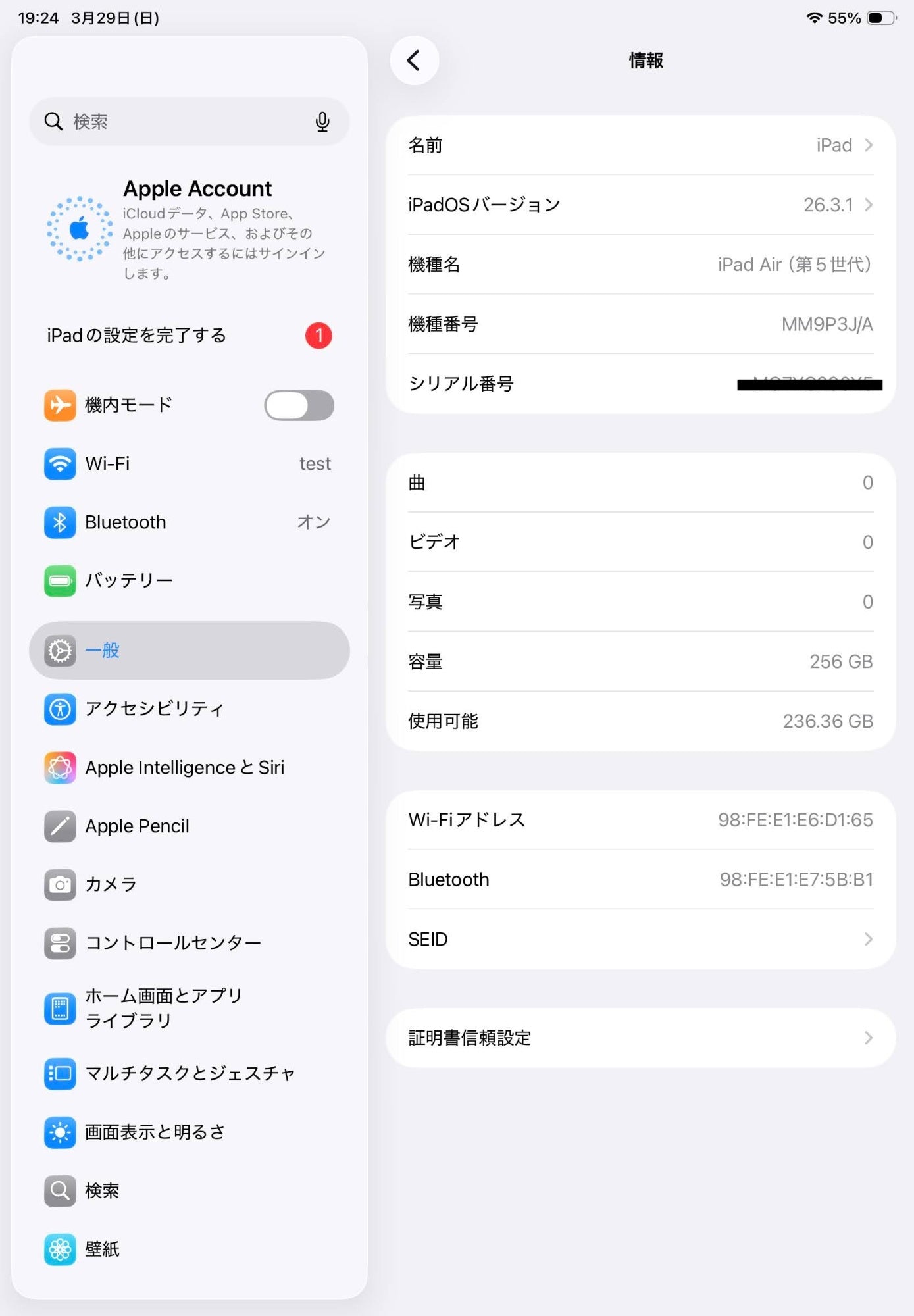 美品 iPad Air 第5世代 Wi-Fi 256GB MM9P3J/A スターライト バッテリー最大容量82%【C7024-60】