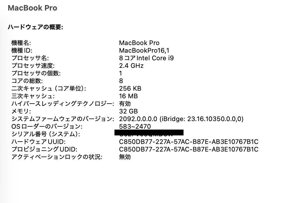 Apple MacBook Pro 16インチ 2019 2.4GHz 8コア i9 32GB 1TB【C5005-80】