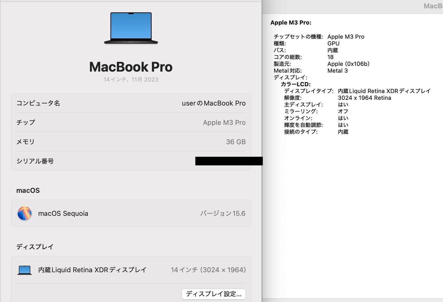 Apple MacBook Pro 2023 14インチ M3Pro 12コア 36GB 1TB USキーボード【C4338-80】