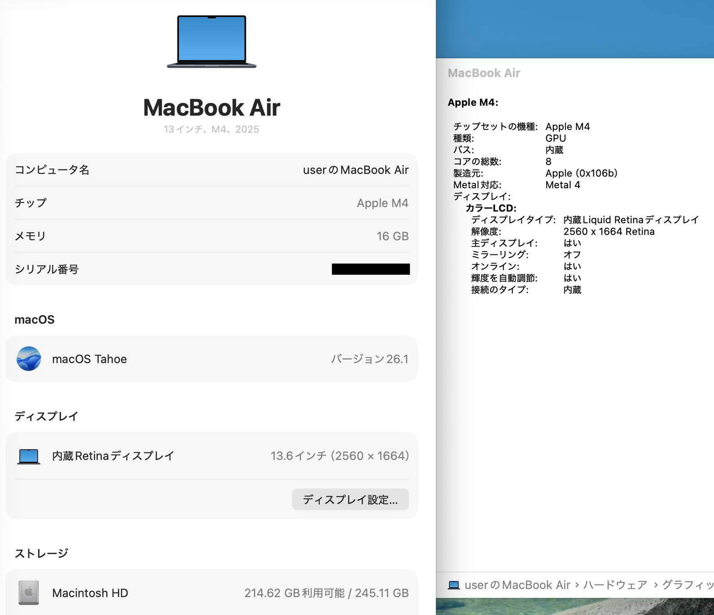 美品 新品同様 Apple MacBook Air MW123J/A M4 2025 16GB SSD 256GB 充放電回数3回 バッテリー最大容量100%【C5480-80】