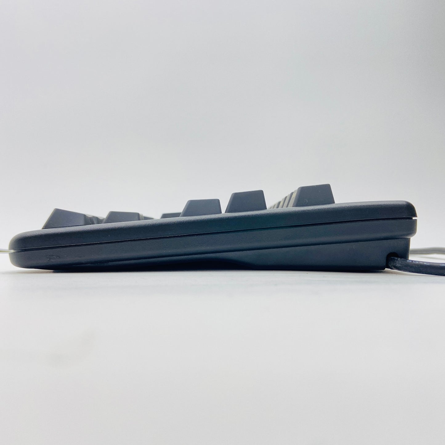 REALFORCE 91UBK / 変荷重キーボード / 静電容量無接点 / 91キー【C3826-80】