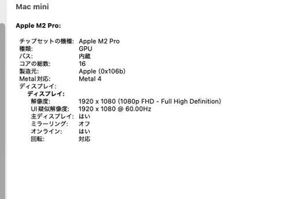 美品 Apple Mac mini 2023 M2 Pro 10コア 16GB 2TB シルバー【C9359-80】
