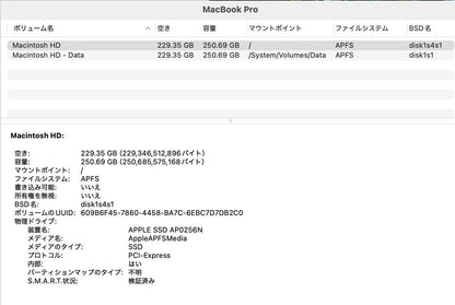 Apple MacBook Pro 13インチ 2019 i5 1.4GHz 8GB SSD 256GB シルバー MUHR2J/A 【C8002-80】