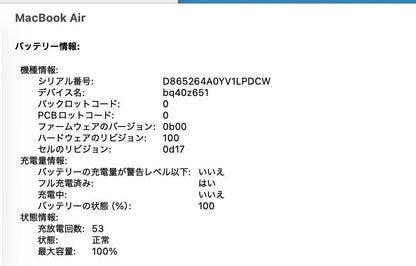 美品 MacBook Air 15インチ M4 CPU10コア GPU10コア 16GB 256GB スカイブルー バッテリー最大容量100%【C8103-80】