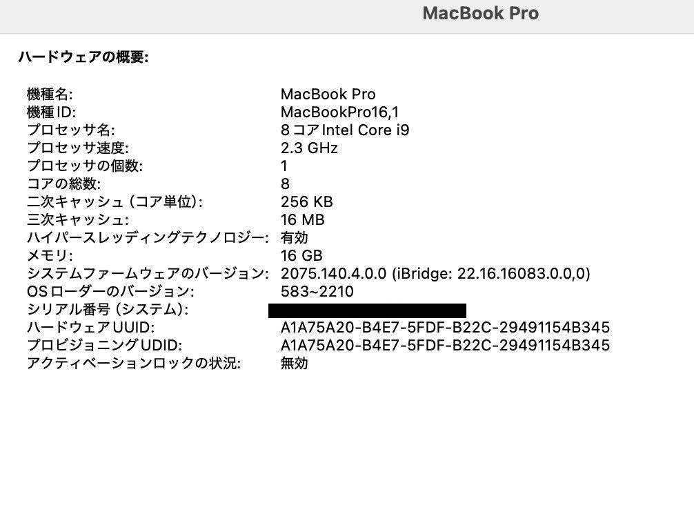 Apple MacBook Pro 16インチ 2019 i9 16GB 1TB 【C4315-80】