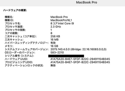 Apple MacBook Pro 16インチ 2019 i9 16GB 1TB 【C4315-80】
