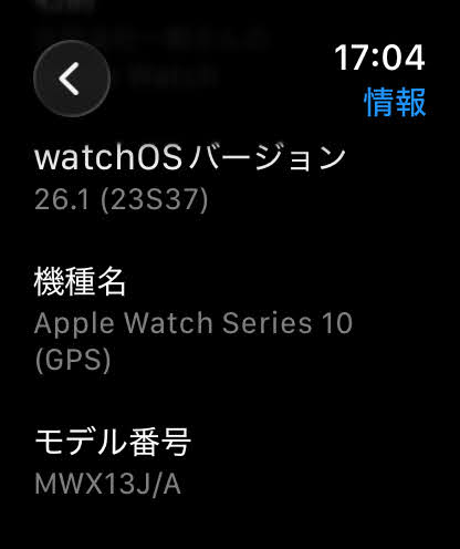 Apple Watch Series10 GPSモデル 46mm MWX13J/A 最大容量100% ＋Apple Watch 純正 スレートリンクブレスレット 46mm 付属品完備【C5361-60】