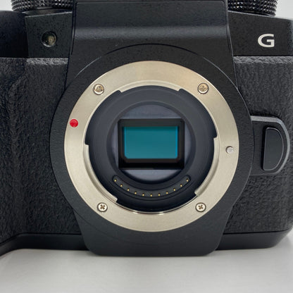 パナソニック Panasonic LUMIX DC-G99 ミラーレス一眼カメラ 【C4440-60】