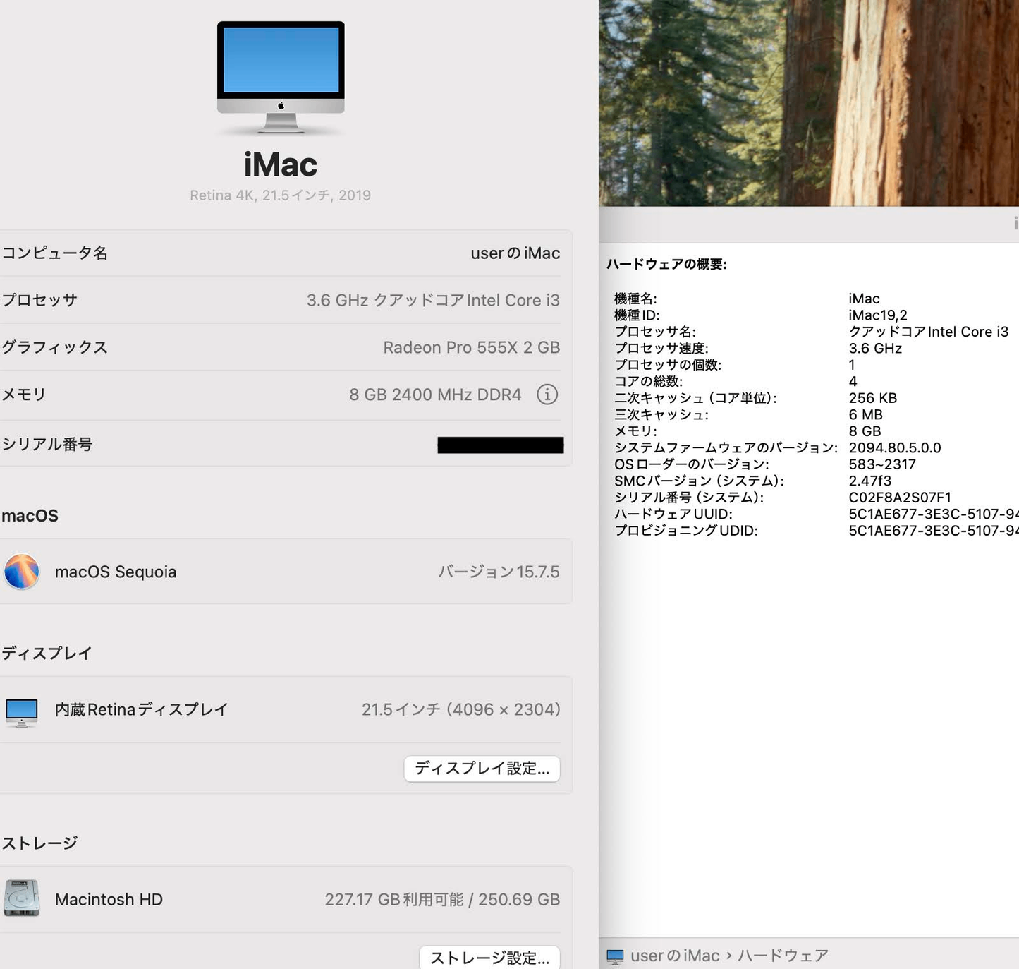 Apple iMac Retina 4K 21.5インチ 2019 3.6GHz クアッドコア i3 Radeon Pro 555X 8GB SSD 256GB【C7267-140】