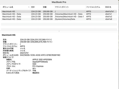MacBook Pro 13インチ Mid 2019 i5 1.4GHz 8GB SSD 256GB シルバー MUHR2J/A 【C5199-80】