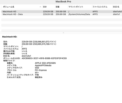 Apple MacBook Pro 13.3インチ 2019 1.4GHz クアッドコア i5 8GB 256GB スペースグレイ【C7872-80】