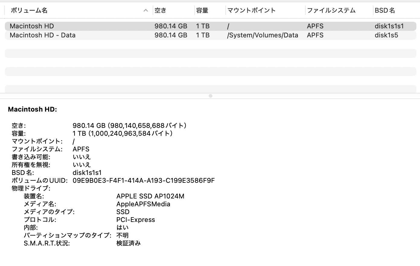 Apple MacBook Pro 2019 15インチ Core i9 32GB 1TB USキーボード【C4395-80】