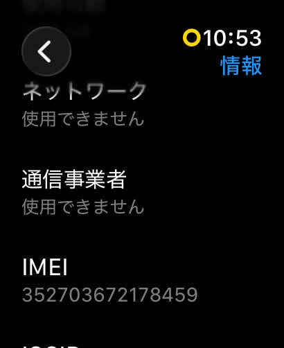 Apple Watch Ultra 第1世代 GPS+Cellularモデル 49mm チタニウム MQFR3J/A スターライト【C8692-C】