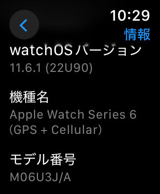 Apple Watch Series 6 GPS + Cellular ステンレススチール 40mm M06U3J/A SIMフリー版 バッテリー最大容量82% 【C4640-C】