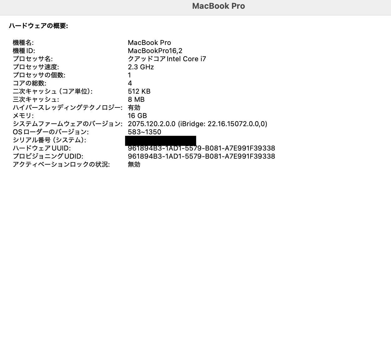 Apple MacBook Pro 2020 13インチ 2.3GHz クアッドコア i7 16GB SSD1TB  付属品完備 C3867 80サイズ発送