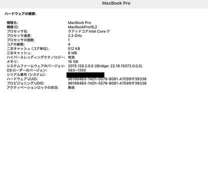 Apple MacBook Pro 2020 13インチ 2.3GHz クアッドコア i7 16GB SSD1TB  付属品完備 C3867 80サイズ発送
