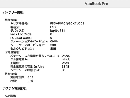 Apple MacBook Pro 16インチ 2019 i9 16GB 1TB 【C4315-80】