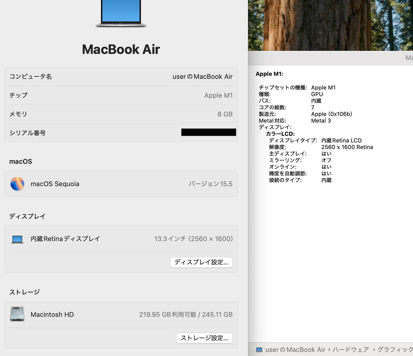 Apple MacBook Air Retina 13インチ (Late 2020) Apple M1 8コア/16GB/SSD 256GB シルバー MGN93J/A 【C4121-80】