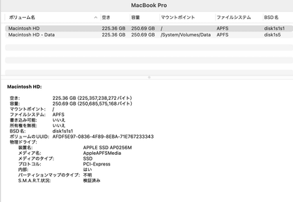 Apple MacBook Air 13インチ 2022 M2 8GB 256GB MLXY3J/A 【C4100-80】