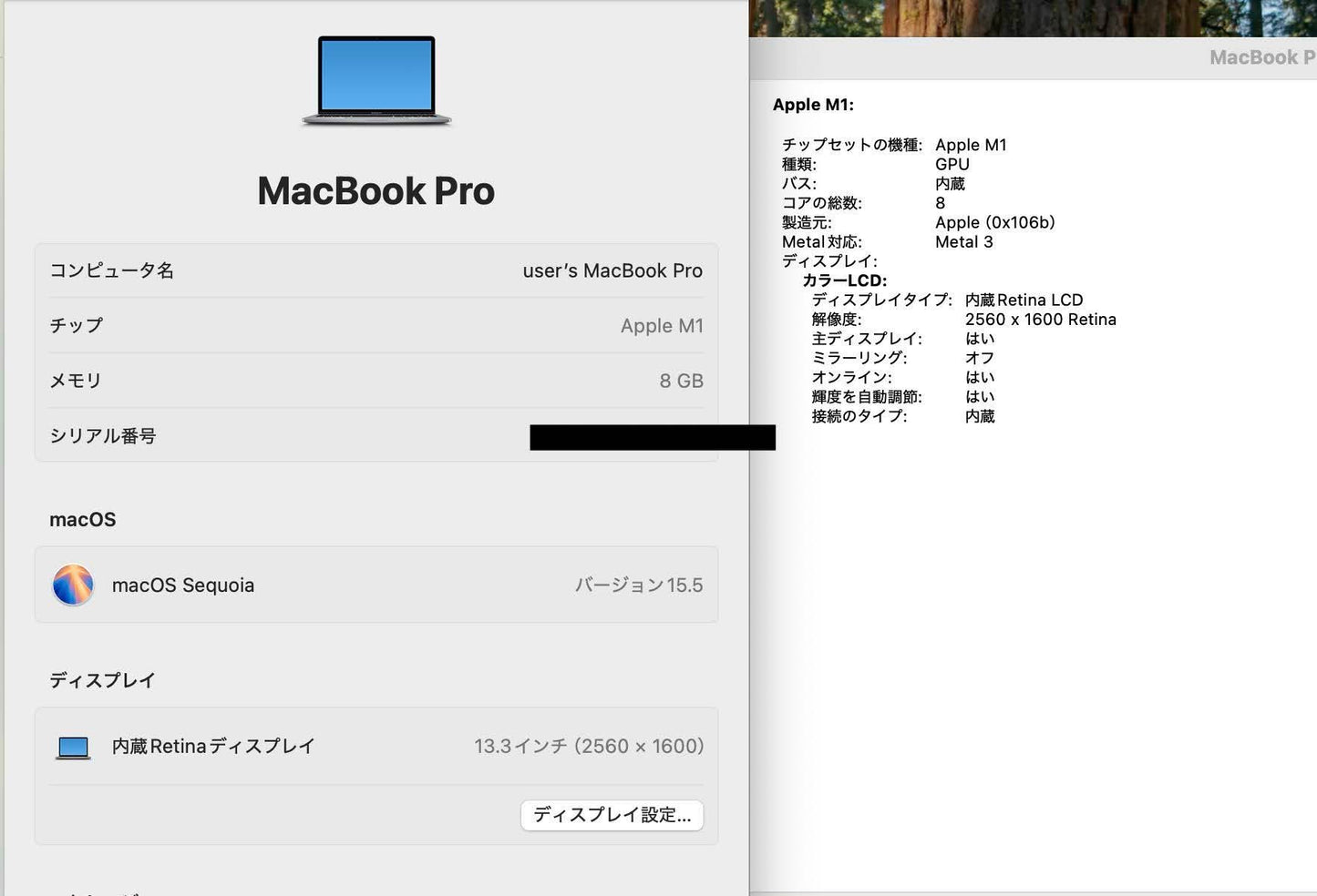 バッテリー最大容量89% Apple MacBook Pro 13インチ M1 8C 2020 8GB 256GB MYD82J/A C3878 80サイズ発送