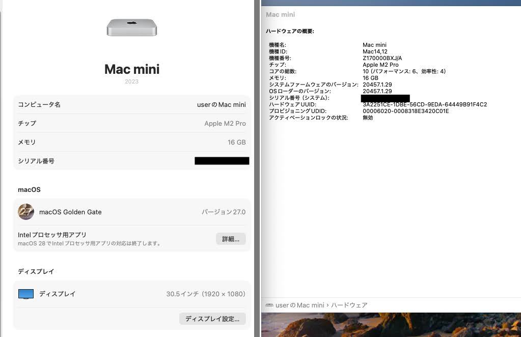 美品 Apple Mac mini 2023 M2 Pro 10コア 16GB 2TB シルバー【C9359-80】