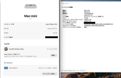 美品 Apple Mac mini 2023 M2 Pro 10コア 16GB 2TB シルバー【C9359-80】