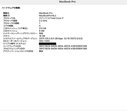 MacBook Pro 13インチ 2020 A2251 Core i7 2.3GHz 16GB SSD512GB 【C4263-80】