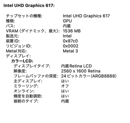 Apple MacBook Air 2018 13インチ Core i5 8GB 256GB  MRE92J/A  【C4448-80】