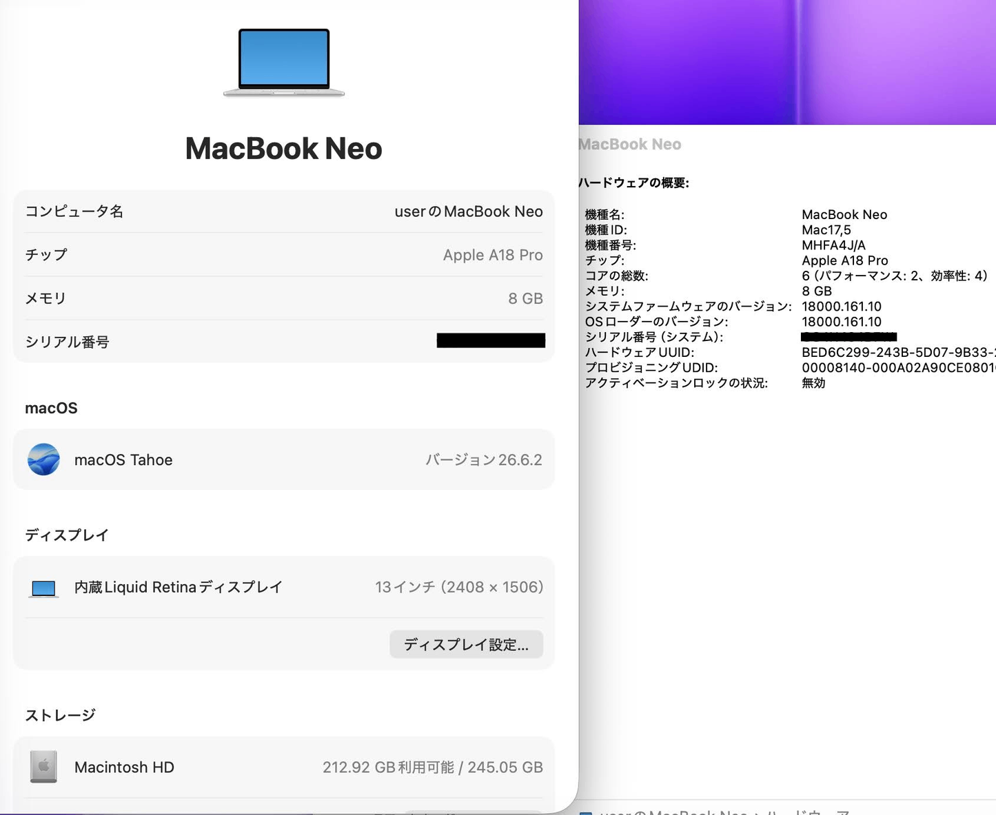 美品 新品同様 Apple MacBook Neo 13インチ Apple A18 Proチップ 6コア 8GB SSD 256GB シルバー MHFA4J/A バッテリー最大容量100%【C8700-80】