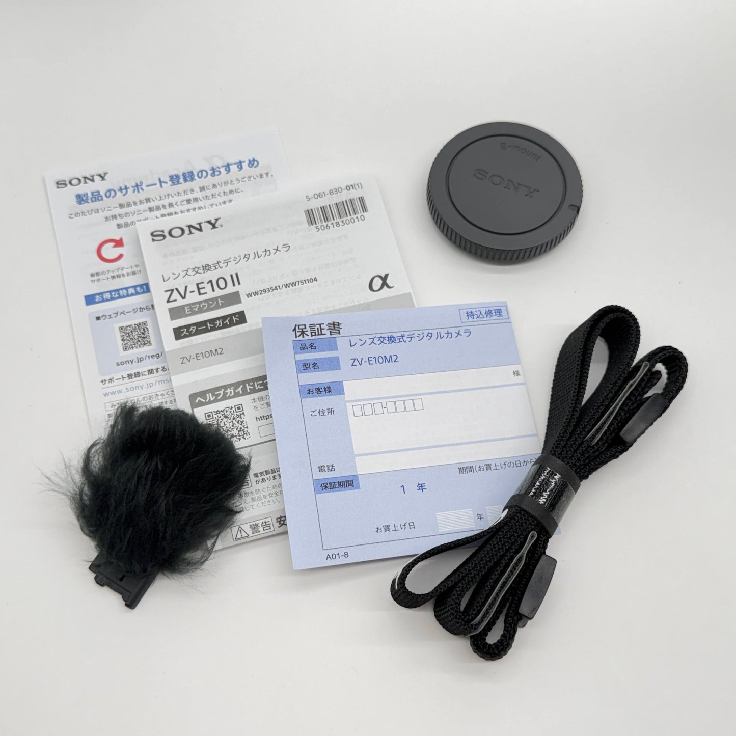 美品 SONY ZV-E10 II ZV-E10M2 ボディ【C6841】