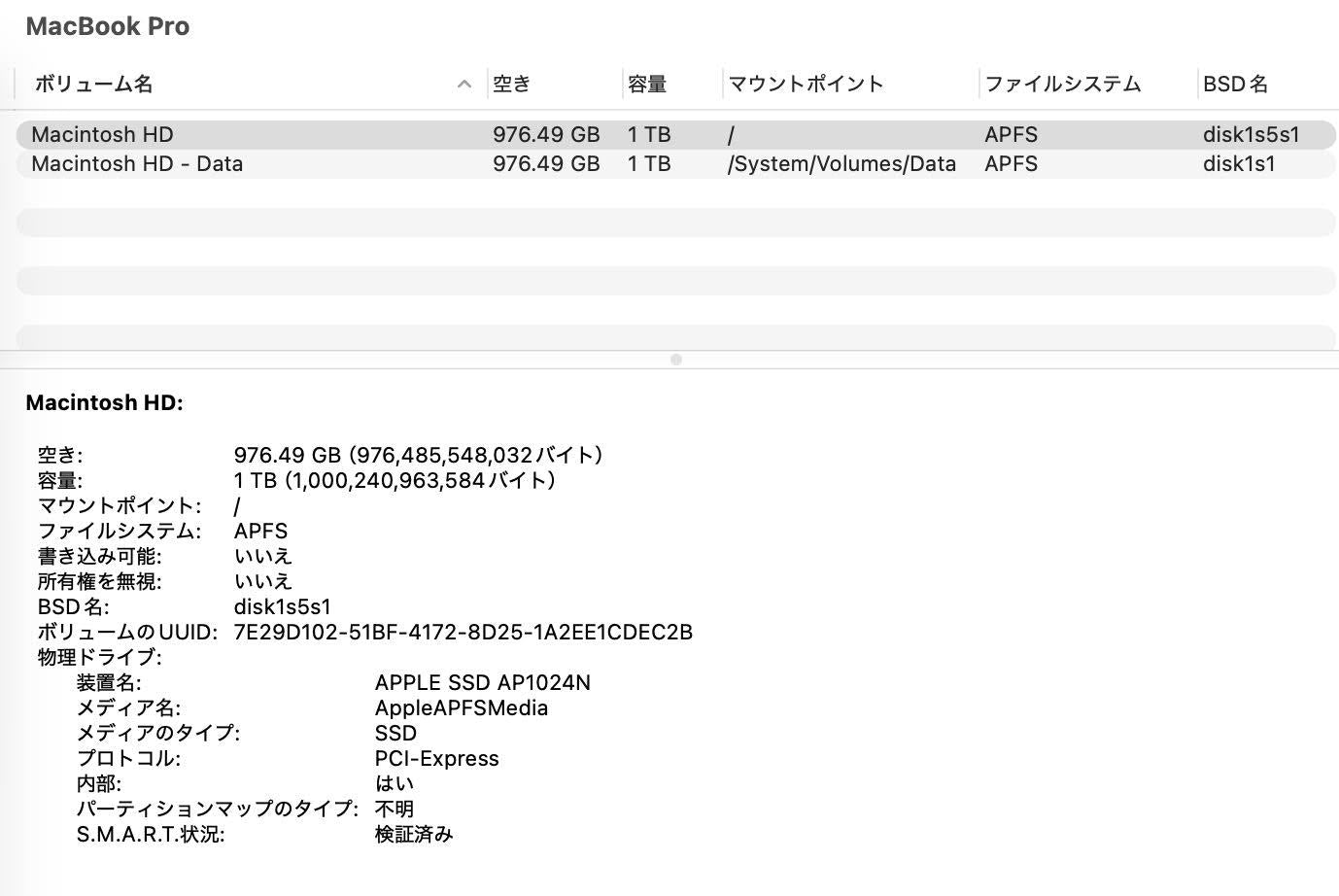 Apple MacBook Pro 2019 16インチ i9 32GB 1TB【C4759-80】