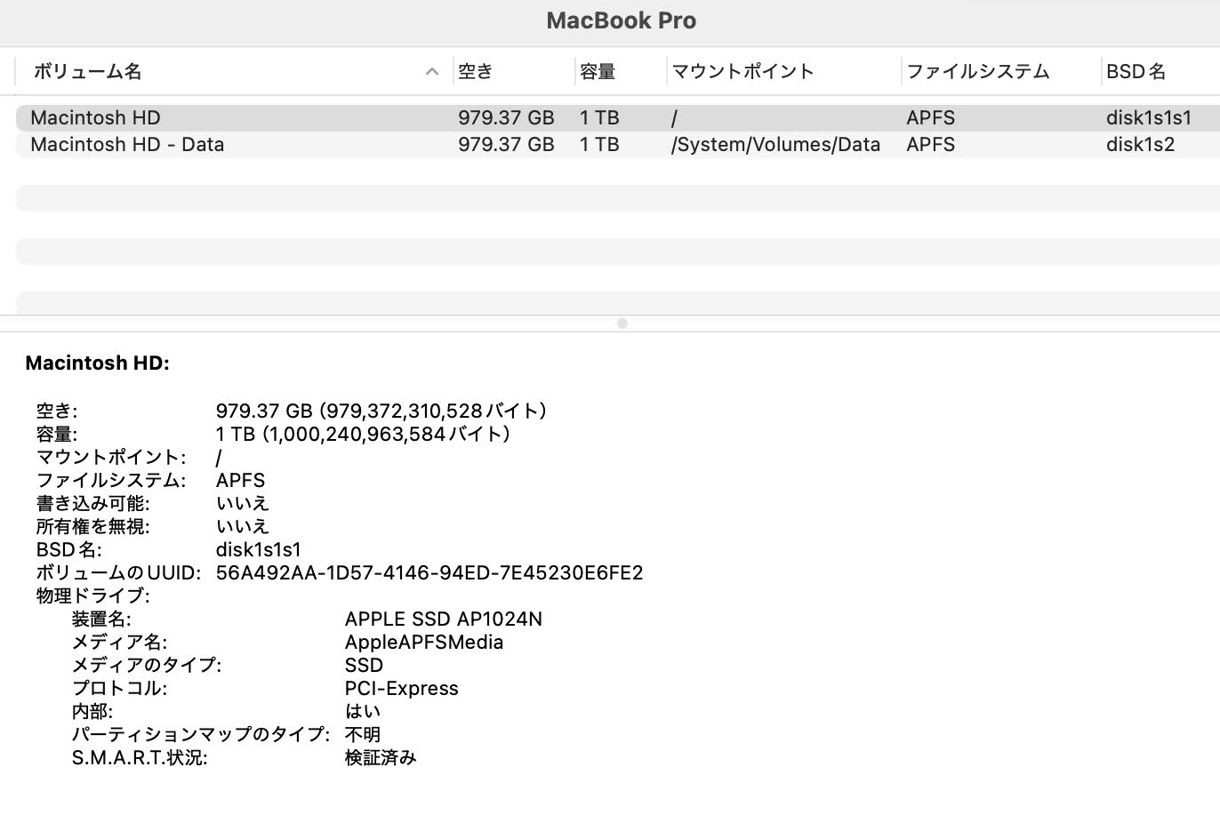 Apple MacBook Pro 16インチ 2019 i9 16GB 1TB 【C4315-80】