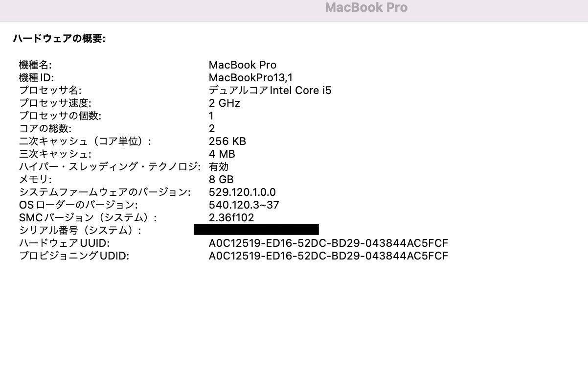 Apple MacBook Pro  13インチ 2016 Thunderbolt 3ポートx 2  Core i5 8GB 256GB 【C4335-80】