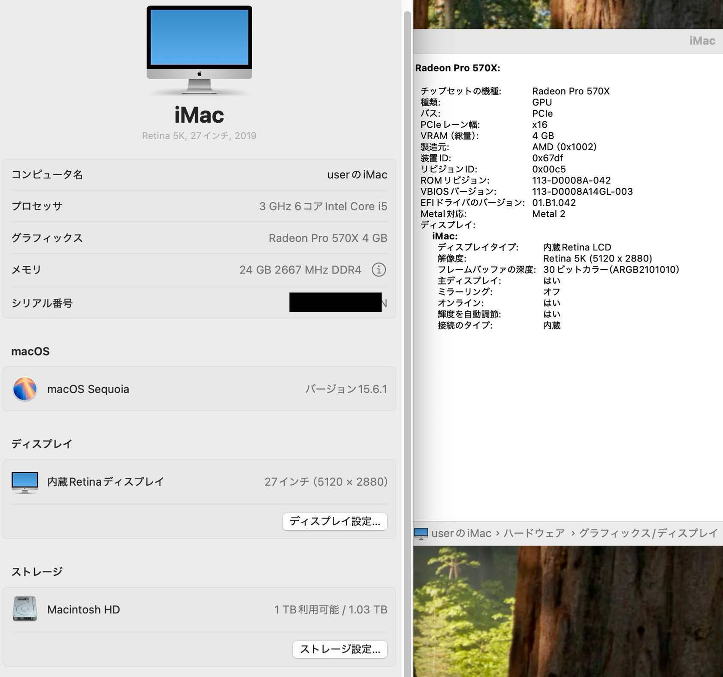 カスタム iMac (Retina 5K, 27インチ, 2019)  i5 24GB SSD1TB RADEON Pro 570X 4GB MRQY2J/A メモリ増設SSD換装済み【C4661-160】