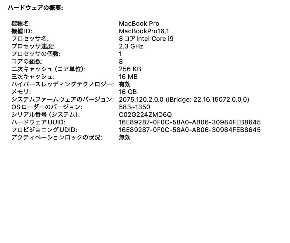 MacBook Pro 16インチ Touch Bar＋Touch ID (Late 2019) Core i9 2.3GHz/16GB/SSD 1TB シルバー MVVM2J/A【C5374-80】