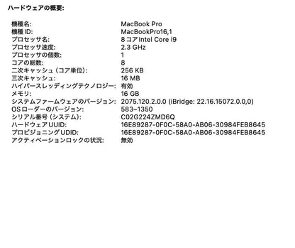 MacBook Pro 16インチ Touch Bar＋Touch ID (Late 2019) Core i9 2.3GHz/16GB/SSD 1TB シルバー MVVM2J/A【C5374-80】
