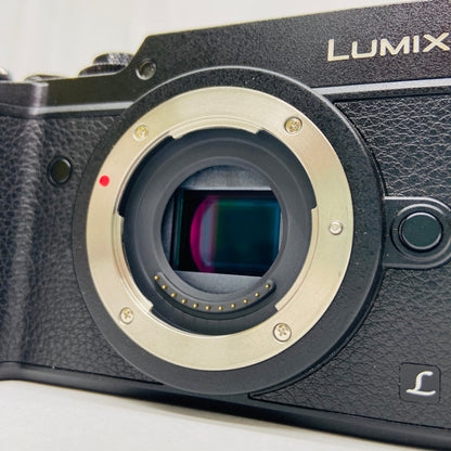 Panasonic LUMIX DMC-GX8H 高倍率ズームレンズセット C3627 80サイズ発送