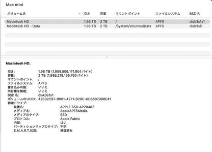 美品 Apple Mac mini 2023 M2 Pro 10コア 16GB 2TB シルバー【C9359-80】