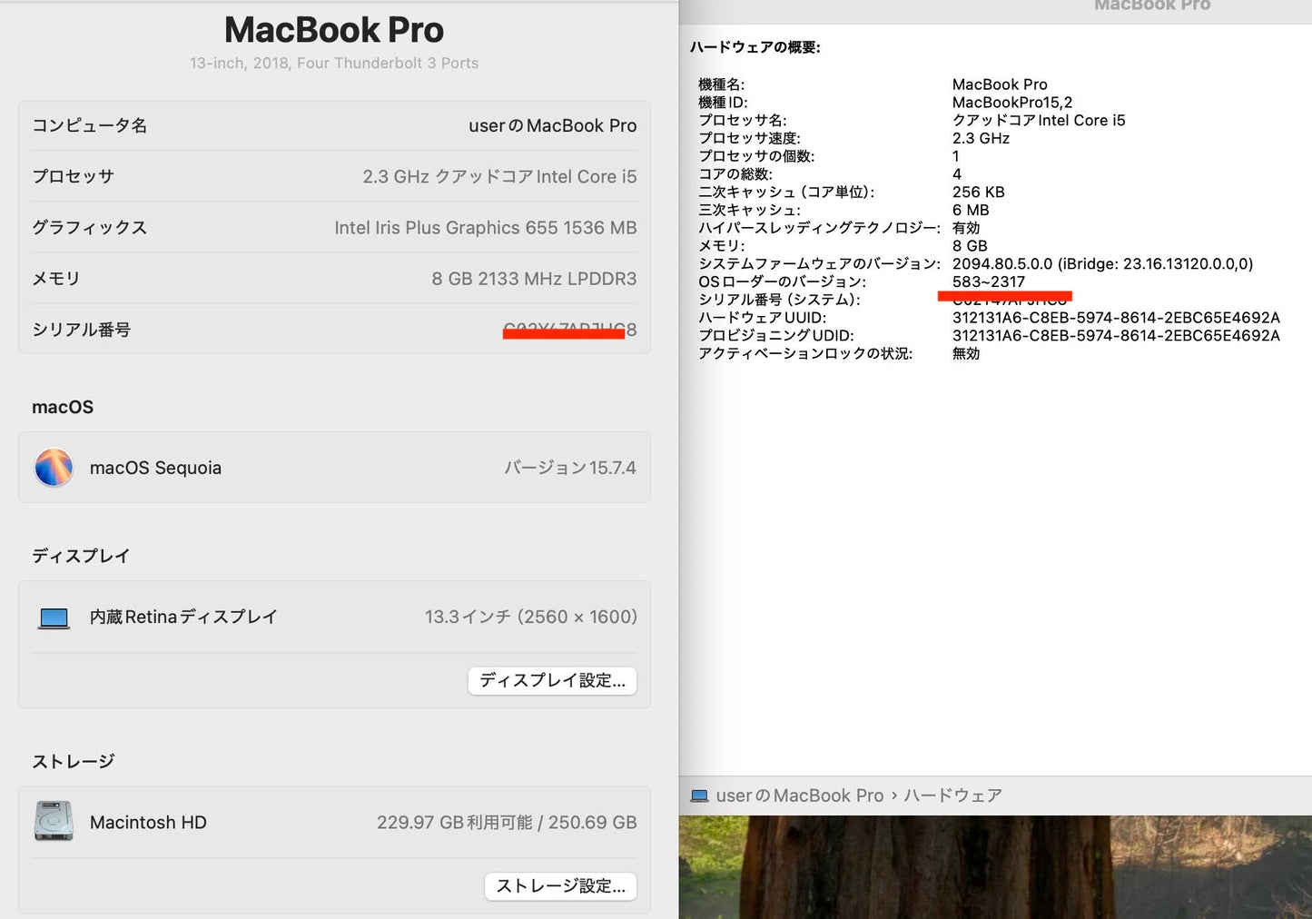 Apple MacBook Pro 13インチ 2018 i5 8GB 256GB【C6462-80】