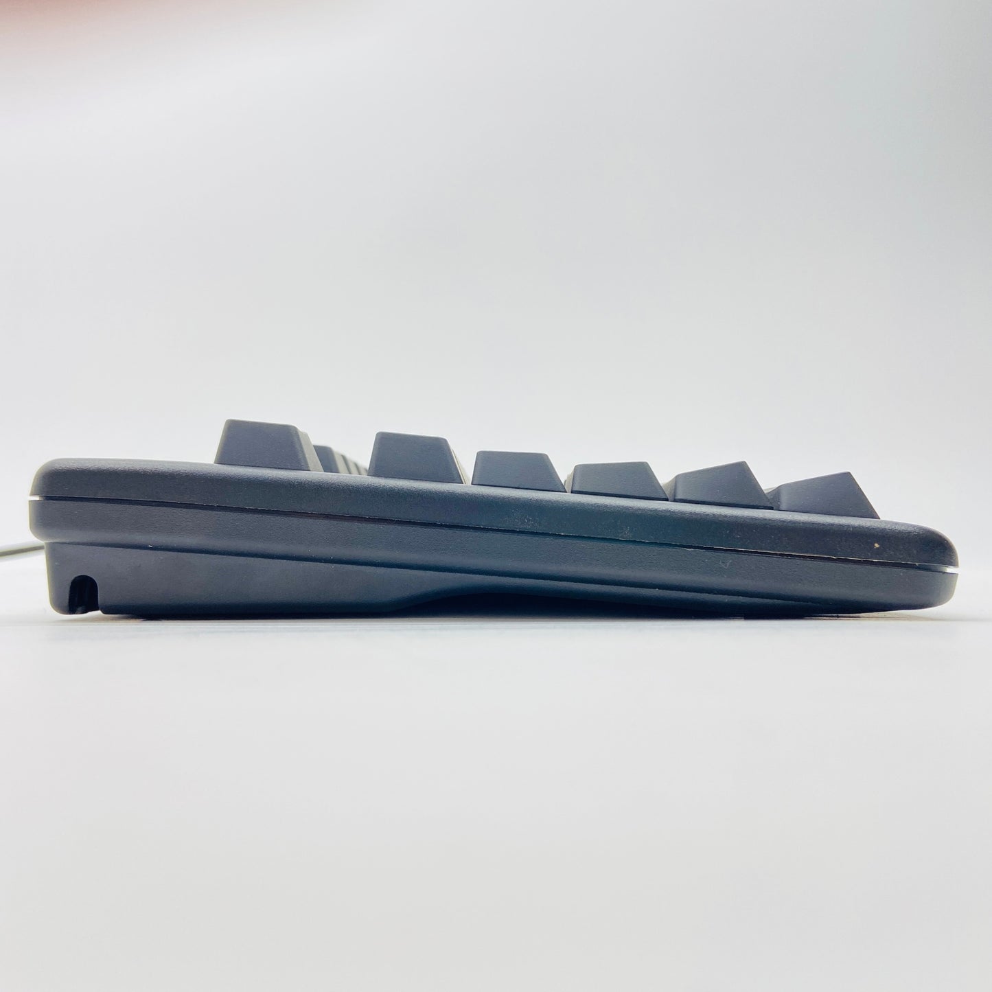 REALFORCE 91UBK / 変荷重キーボード / 静電容量無接点 / 91キー【C3826-80】