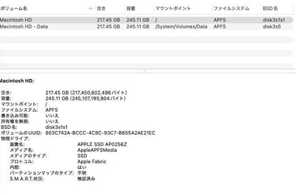 美品 Apple Mac mini M4 16GB 256GB MU9D3J/A 【C4802-60】