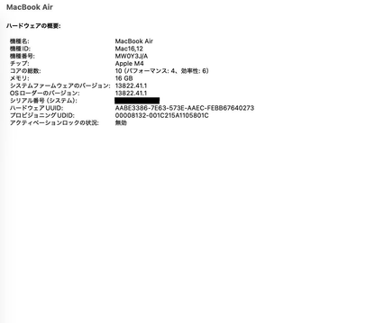 美品 Apple MacBook Air 13インチ M4 2025 MW0Y3J/A 16GB SSD 256GB スターライト 充放電回数5回 バッテリー最大容量100% 【C5517-80】