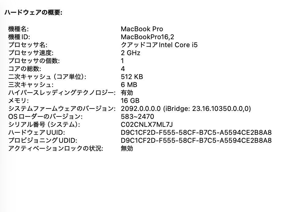 Apple MacBookPro 13インチ 2020 i5 16GB 1TB 【C5225-80】