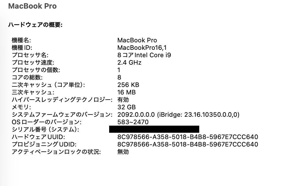 Apple MacBook Pro 2019 16インチ i9 32GB 1TB【C4759-80】