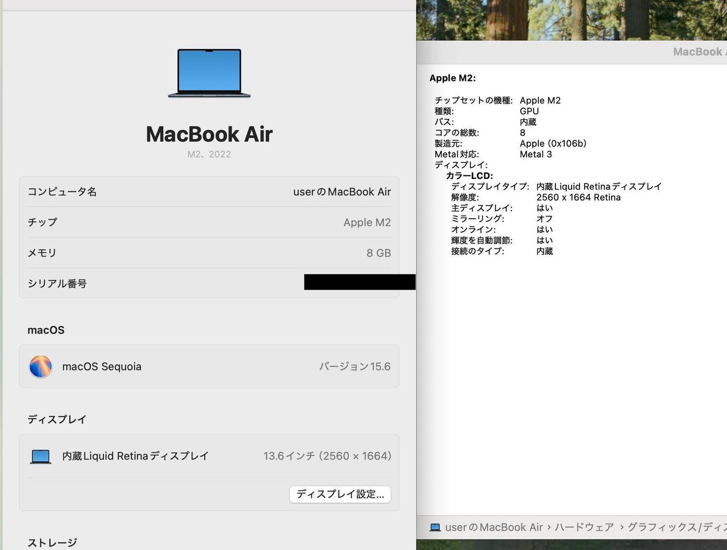 美品 Apple MacBook Air M2 2022 MLY33J/A 8GB SSD 256GB バッテリー最大容量100% 付属品完備【C4328-80】