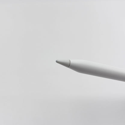 Apple Pencil 第2世代 アップルペンシル【C8119-N】