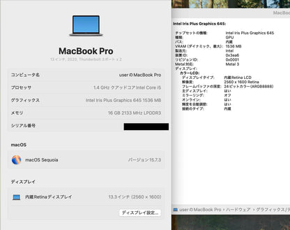 美品 Apple MacBookPro 13インチ 2020 i5 1.4GHz 16GB 256GB 【C5762-80】