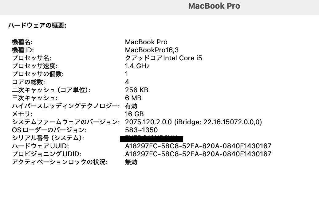 Apple MacBook Pro 2020 13インチ i5 16GB 256GB 付属品完備【C4000-80】