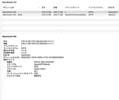 Apple MacBook Air 13インチ M4 2025 16GB SSD 256GB M4 10C 8C スカイブルー MC6T4J/A バッテリー最大容量100%【C6517-80】