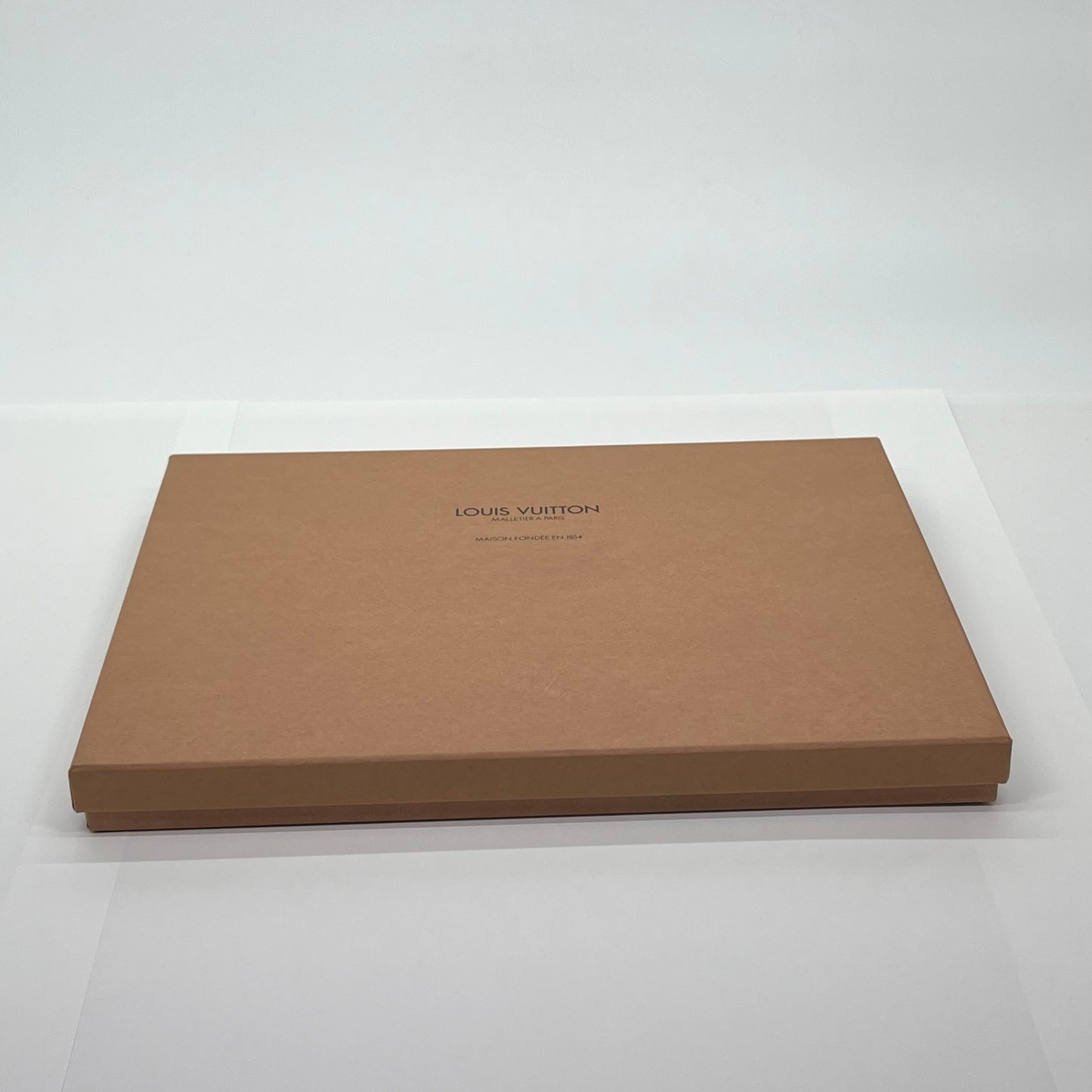 未使用  デッドストック LOUIS VUITTON タイガライン ドキュメントファイル 書類ケース【C5298-80】